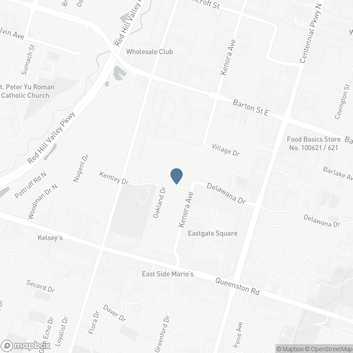 19 ELLINGWOOD Avenue, Hamilton, Ontario L8E 1C1